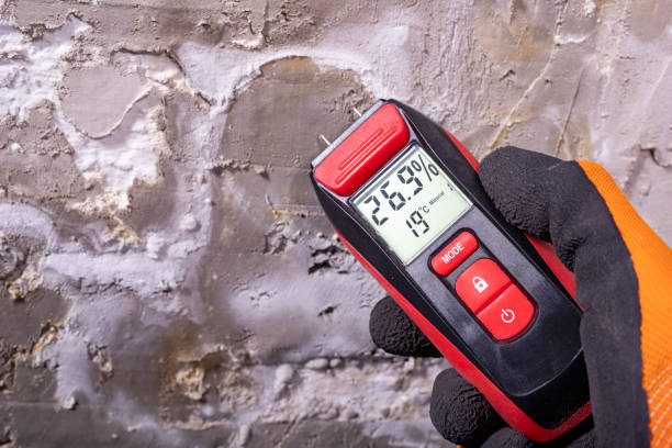 Best Certified Mold Removal  in Edenton, NC
