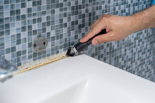 Best Commercial Mold Removal  in Edenton, NC